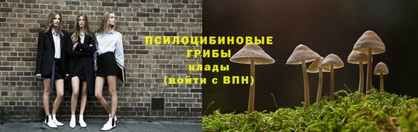 скорость Приозерск
